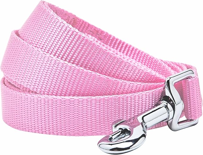 Blueberry Pet Essentials Fuchsia Pink Dog Leash for Small -5' * 5/8" Dogs | Heavy Duty Nylon Lead | Lightweight Puppy & Cat Leash for Walking & Training