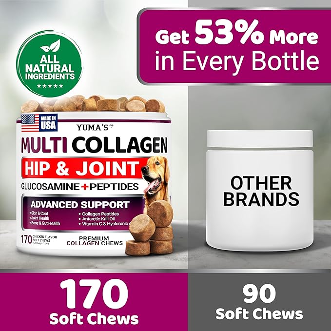 Advanced Collagen for Dogs - 170 Dog Collagen Chews - Hip and Joint Supplement - Skin & Coat Health, Cartilage & Mobility Support - Multi-Collagen Peptides - Glucosamine, Vitamin C, Hyaluronic Acid