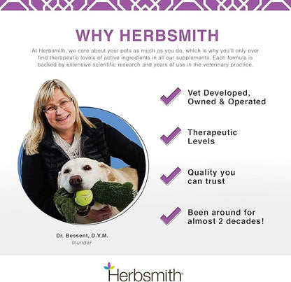 Herbsmith Sound Dog Viscosity – Advanced Joint Support for Dogs – Veterinarian Recommended Glucosamine for Dogs, Hyaluronic Acid, Chondroitin, MSM – 150g Powder