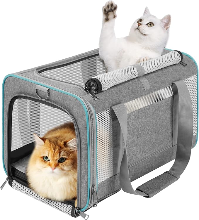GAPZER Pet Carrier for Large Cats 20 lbs+ / Soft Sided Small Dog Travel Carriers Top Load/Collapsible Carrier Bag for Big Cat / 2 Kittens Sturdy Transport Carriers Long Trips/Medium Cats 15 pounds