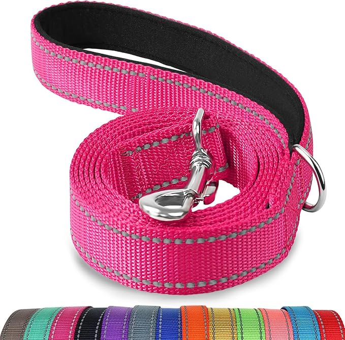 Joytale Double-Sided Reflective Dog Leash, 4 FT, Padded Handle Nylon Heavy Duty Leashes for Small & Medium Dogs Walking, Hotpink