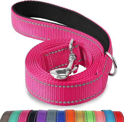 Joytale Double-Sided Reflective Dog Leash, 4 FT, Padded Handle Nylon Heavy Duty Leashes for Small & Medium Dogs Walking, Hotpink