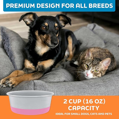 Master Pet Supply Stainless Steel Dog Bowls Set of 2 with Extra Thick Silicone Base - 2 Cup (16 oz) Hyper Pink, Non-Slip, Dishwasher Safe Metal Bowls, Pet Dog Food Bowl for Dogs, Cats, Anti Rust