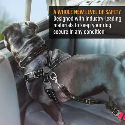 Active Pets Orange Car Seat Belt for Dogs, Attaches to Harness & Collar, Adjustable 18" - 24" Travel Restraint System Fits Small - Large Pups for Safety & Comfort, Essential Pet Supplies & Accessories