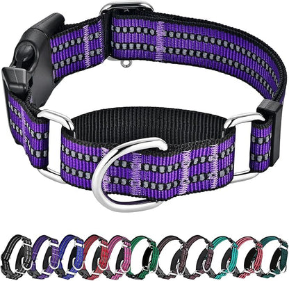 Hikiko Martingale Collar for Dogs Reflective Nylon Dog Collar with Quick Release Buckle Adjustable Training No Slip Dog Collar (X-Large, Purple)