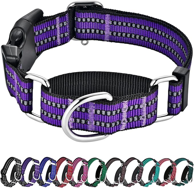 Hikiko Martingale Collar for Dogs Reflective Nylon Dog Collar with Quick Release Buckle Adjustable Training No Slip Dog Collar (Large, Purple)