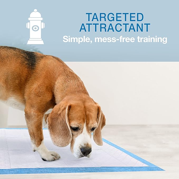 Four Paws Wee-Wee Super Absorbent Unscented Pee Pads for Dogs & Puppies with Insta-Rise Border, Leak-Proof Dog Housebreaking Potty Training Floor Protection, 24" x 24", 22 Count