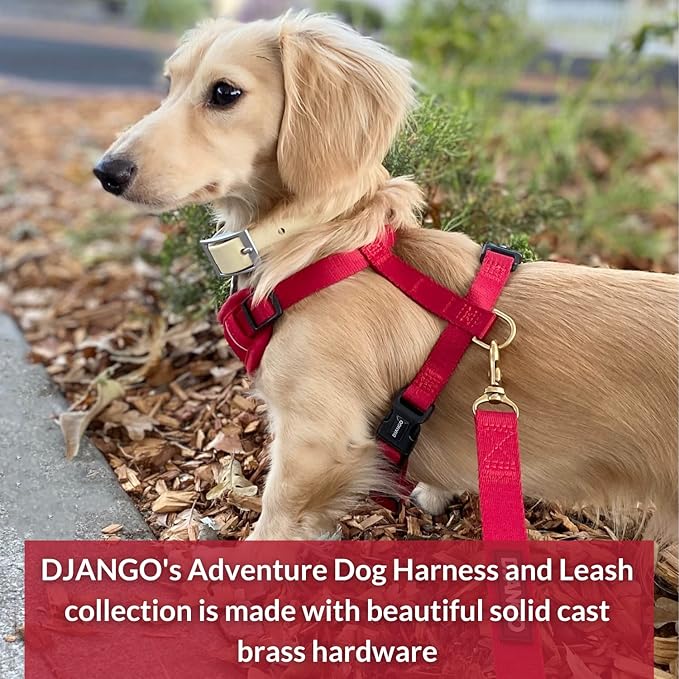 DJANGO Adventure Dog Leash – Strong, Comfortable, and Stylish Dog Leash with Solid Brass Hardware and Padded Handle - Designed for Outdoor Adventures and Everyday Use (Crimson Red)
