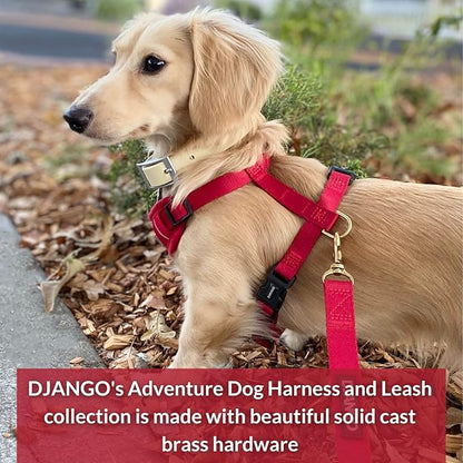 DJANGO Adventure Dog Leash – Strong, Comfortable, and Stylish Dog Leash with Solid Brass Hardware and Padded Handle - Designed for Outdoor Adventures and Everyday Use (Crimson Red)