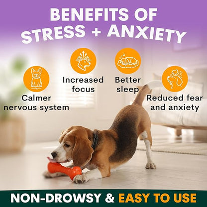 Stress and Anxiety Supplement for Dogs - Calming Dog Powder Supplement - Decreases Stress, Calms Fear & Anxiety, Eases Aggression & Insomnia, Relaxes Body and Mind - Beef Flavour - 3.2oz - 45 Scoops