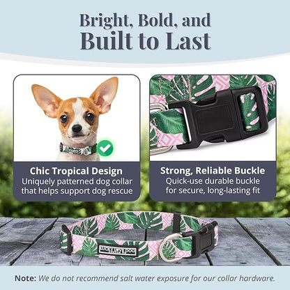 Lucky Love Dog - Adjustable Dog Collar with Easy Click Buckle for Small Ones, Durable, & Comfortable for Male & Female Dogs, Pet Collar for Puppies & Adult Dogs - Laguna, XS