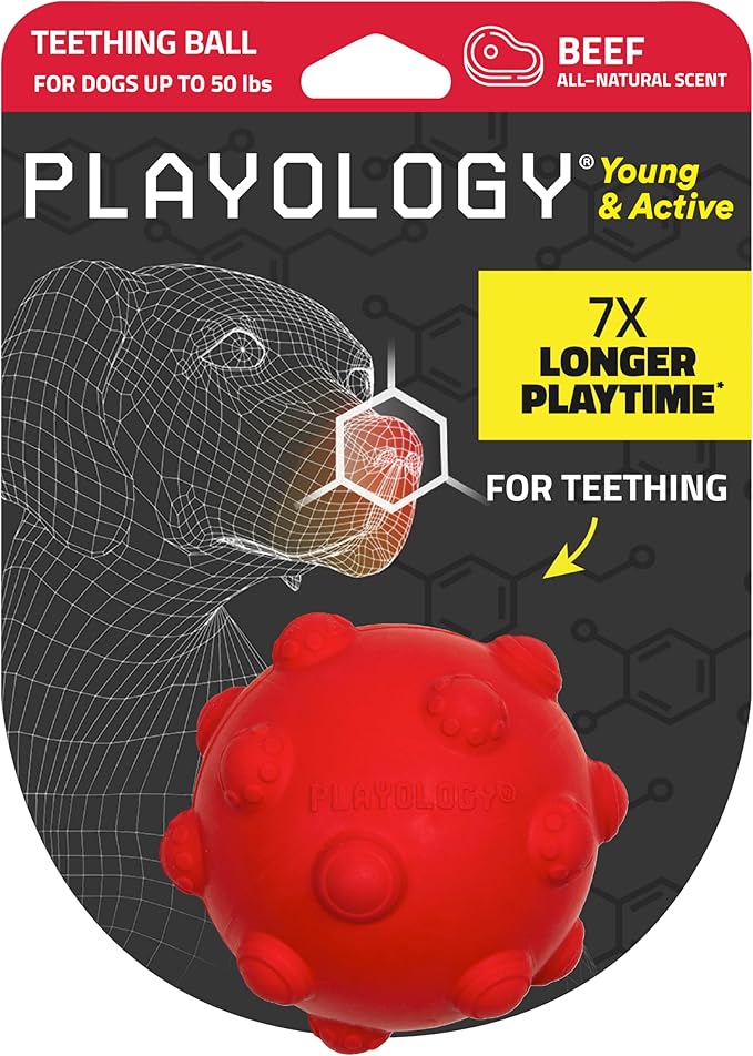 Playology Dog Toys | Puppy Toy Teething Ball Designed for Young & Active Dogs | Medium Beef Scented Toy Made from Non Toxic Materials
