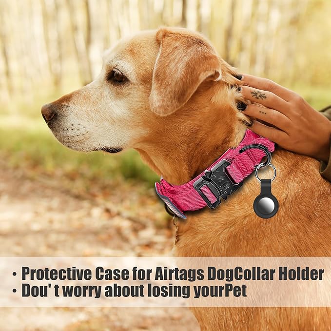 Tactical Military Collar - Adjustable Nylon, Heavy Duty Metal Buckle with Handle for Dog Training, with Patches (Pink, L)