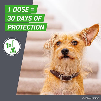 Frontline Plus for Dogs Medium Dog (23-44 pounds) Flea and Tick Treatment, 6 Doses