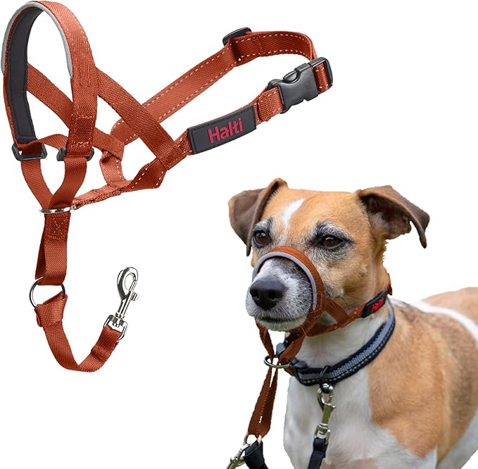Halti Headcollar - Stop Your Dog Pulling on The Leash. Adjustable, Reflective and Lightweight, with Padded Nose Band. Dog Training Anti-Pull Collar for Small Dogs (Size 1, Burnt Orange)