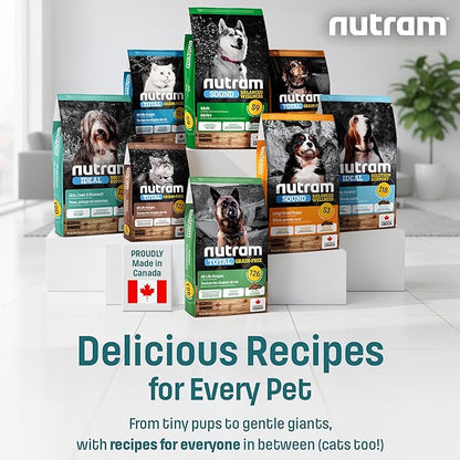 Nutram I14 Puppy Dog Food with Lamb & Brown Rice - Skin, Coat & Sensitive Stomach Dog Food with Pumpkin, Omega-3 Rich Salmon Oil & Flaxseed for Shiny Coat & Immunity - Chicken Free Puppy Food (4.4 lb)
