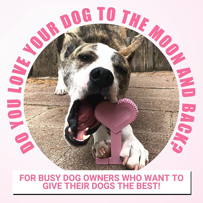 Bullibone Nylon Dog Chew Toy for Aggressive Chewers - Dental Hygiene Bone with Peppermint Flavor, Durable Tough Chew Toys for Small Dogs, Indestructible Dog Bone - 3 Pack