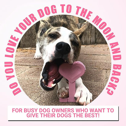 Bullibone Nylon Dog Chew Toy for Aggressive Chewers - Dental Hygiene Bone with Peppermint Flavor, Durable Tough Chew Toys for Small Dogs, Indestructible Dog Bone - 3 Pack