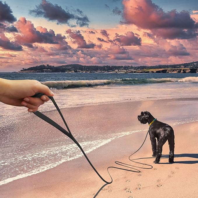 Wolfone 10ft Black Long Leash - Waterproof Training Dog Leash for Recall, Swimming, Camping, Beach, Hunting, Walking