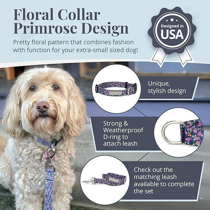 Lucky Love Dog, Comfortable, Soft, Cute Female Dog Collar for Tiny Dogs, Black & Purple Floral Print, Adjustable Nylon Collar, Primrose, X-Small