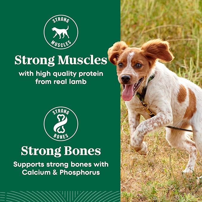 Nutro Natural Choice Adult Small Bites Dog Food, Chicken & Brown Rice Recipe, 5 lb. Bag
