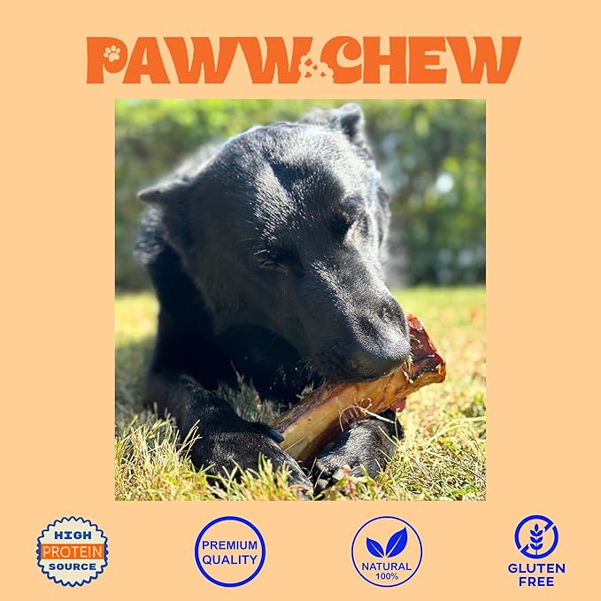 PAWW CHEW 100% Natural Dog Bones, Single Ingredient 7-8 inc (3 Pack) Made in USA, Extra Large, Grass-Fed Beef Marrow Filled Dog Bones for Aggressive Chewers, Real Meaty Marrow Bone for Large Dogs
