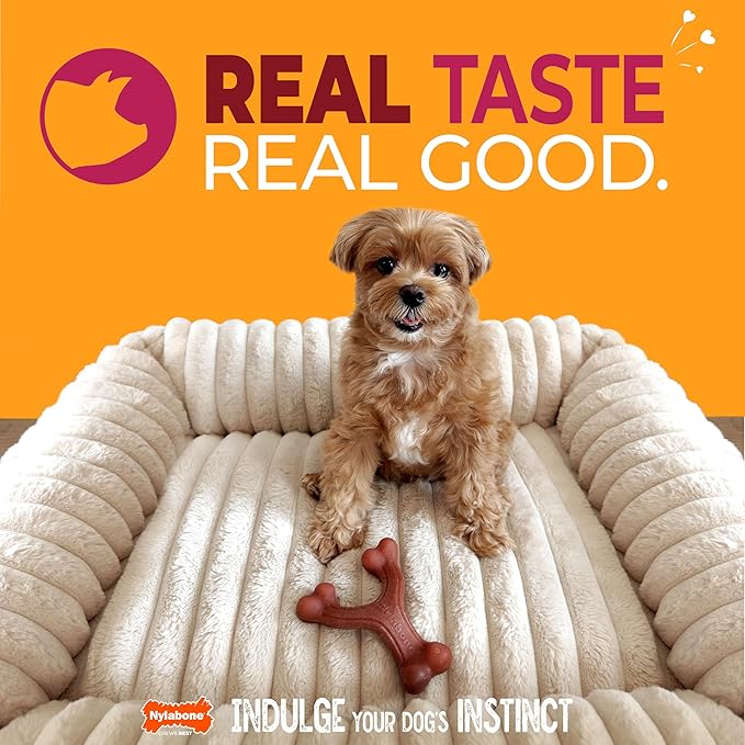 Nylabone Wishbone Strong Chew Toy for Dogs Made with Real Bacon, Durable Dog Chew Bones for Aggressive Chewers, Long-Lasting Flavor Keeps Dogs Busy, Small Dog Toys - Up to 25 lbs, 1 Count