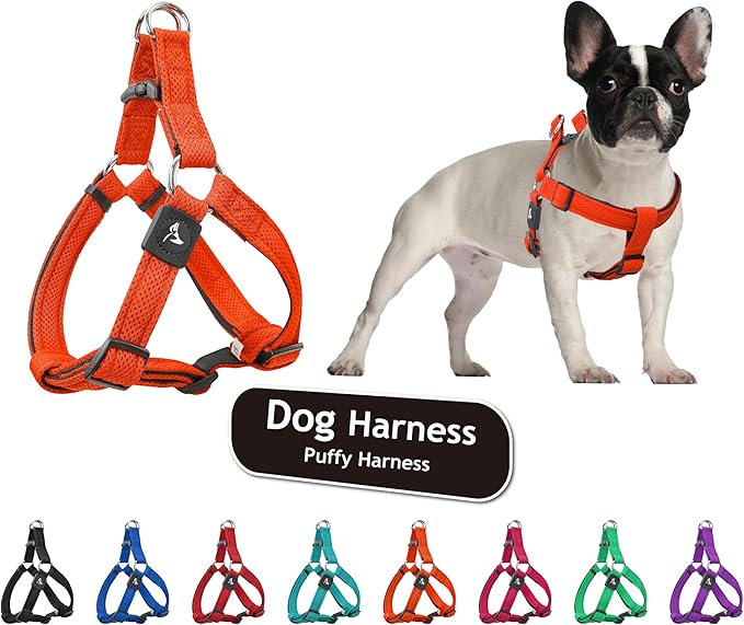 Kruz No Pull Dog Harness (Chest 21”-30”, Weight 23-53 lbs) Heavy-Duty Pet Harness for Medium Breeds, Ultra-Comfort Fit, Lifetime Durability, Adjustable Dog Harness No Pull Design (Orange, Medium)