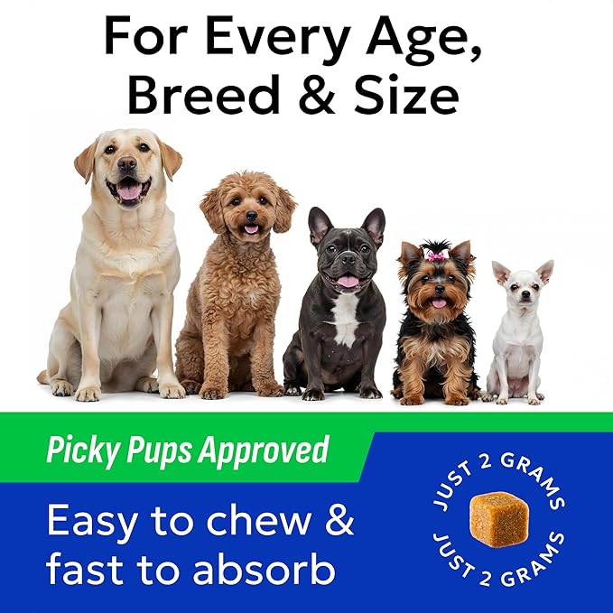 BARK&SPARK Probiotics for Dogs Digestive Health w/Enzymes - Diarrhea Gas Treatment Upset Stomach Relief - Allergy & Itchy Skin - Pet Dogs Probiotics - Digestion Supplement Treat (120Ct Chicken)