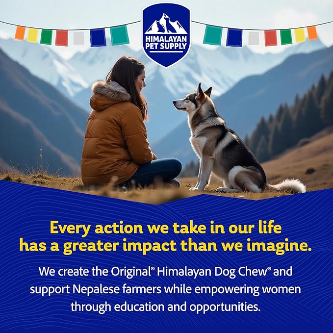 Himalayan Dog Chew Original Yak Cheese Chew, Bacon, 1 Large Stick, 3.3 oz, Gluten Free, Healthy Treats, Grain & Lactose Free 100% Natural, Long Lasting Chews for s Under 55 lbs