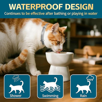 Flea and Tick Collar for Cats– 8-Month Protection – Adjustable & Waterproof – Safe, Long-Lasting Repellent for Fleas, Ticks, Lice & Mosquitoes – Fits Small, Medium & Large Cats 2pack