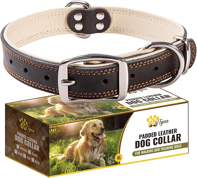 ADITYNA Heavy-Duty Leather Dog Collar for Extra-Large Dogs - Soft Padded for Comfort - Big Black Dog Collar for Walking, Training, and Hiking
