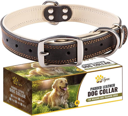 ADITYNA Heavy-Duty Black Leather Dog Collar for Large Dogs - Soft Padded for Comfort - Large Dog Collar for Walking, Training, and Hiking