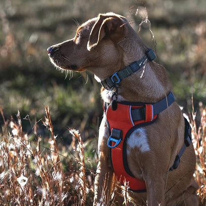 Embark Adventure Dog Harness, No-Pull Reflective Trim Dog Harness for Small, Medium & Large Dogs - Military Grade Nylon, 2 Leash Clips & Gel Lined Handle. Soft & Padded Puppy Dog Vest for Any Breed