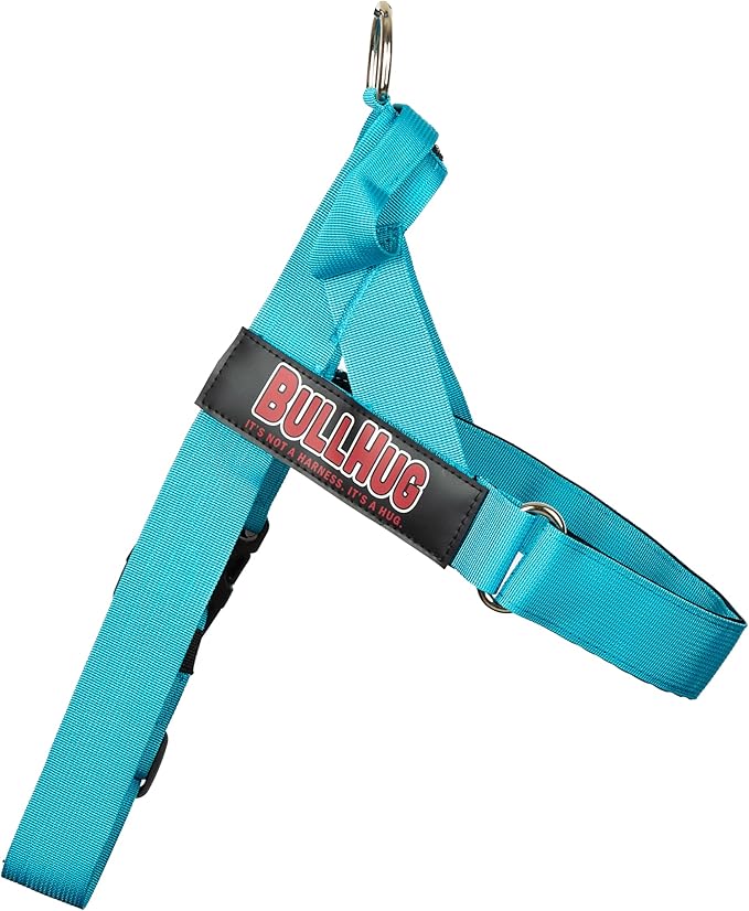 BULLHUG Adjustable Dog Harness– No Pull, No Choke – for English Bulldogs, French Bulldogs, Pugs & Broad-Chested Breeds – Easy, Safe Walks (Teal, Medium)