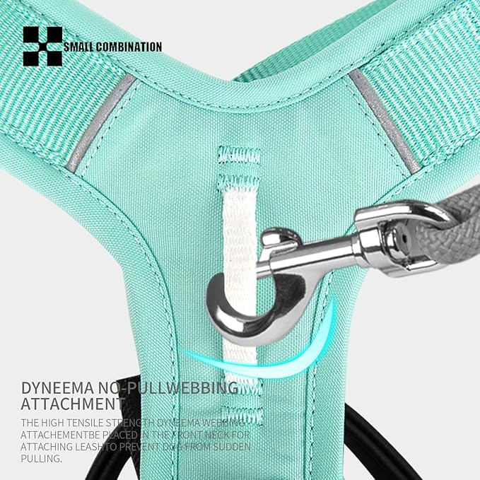 Adjustable Dog Harness with Handle, Padded Comfort,Small, Medium and Large Dogs (Aqua Green, XL)