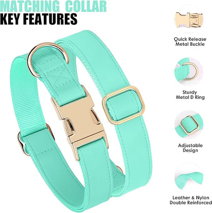 PET ARTIST Soft PU Leather Dog Collar and Leash Set, Bright & Stylish 5FT PU Leather Leash and Collar Set, Durable Pet Collars with Quick Release Metal Buckle for Medium Dogs,Mint Green,M(13-19")