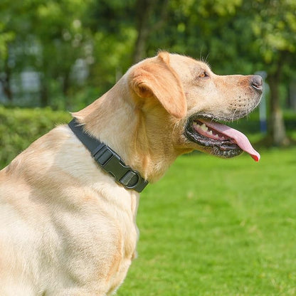 Waterproof Rubber Dog Collar, Odor-Resistant and Easy to Clean, Ideal for Daily Walks, Rainy Days, Swimming and Hiking, Fits Small Medium and Large Dogs