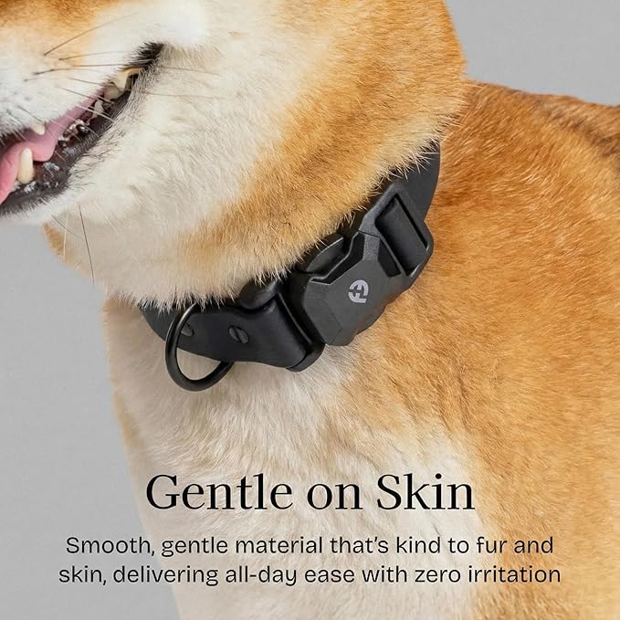 2026 New Edition, Fei & Eve PVC MagEase Dog Collar - Patented Magnetic Buckles | Fur-Safe | 450LB Escape-Proof | Adjustable Fit | Small (Black)