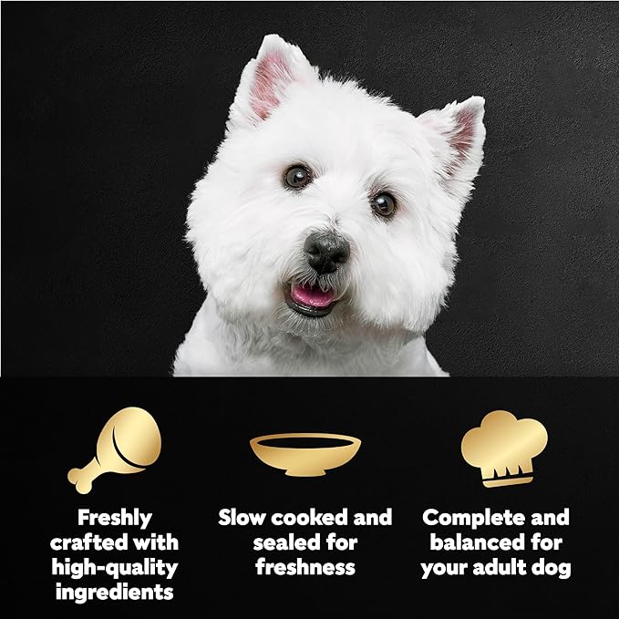 Cesar Filets in Gravy Wet Dog Food Filet Mignon Flavor and Rotisserie Chicken Flavor Variety Pack, Wet Food for Dogs, 1.76 oz. Mini-Pouches, 20 Count (Pack of 2)