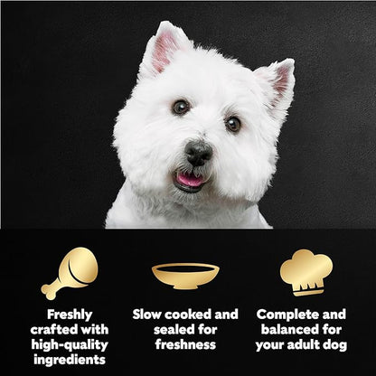Cesar Filets in Gravy Wet Dog Food Filet Mignon Flavor and Rotisserie Chicken Flavor Variety Pack, Wet Food for Dogs, 1.76 oz. Mini-Pouches, 20 Count (Pack of 2)