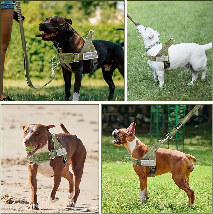Lukovee No Pull Dog Harness & Leash Set - Heavy Duty Dog Vest Harness with Soft Padded for Medium Large Dogs, Adjustable Reflective Tactical Pet Harness for Easy Walk and Training (S, Green)
