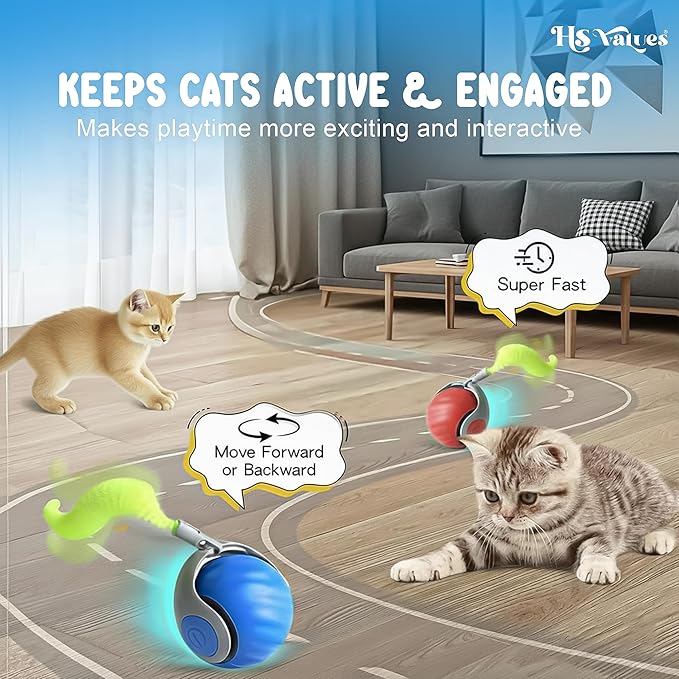 HS VALUES Turbo Tail 3.0 Cat Toy (2-Pack) – 2025 Smart Interactive Cat Toy Ball, Speedy Motion-Activated Toy for Indoor Cats, Rechargeable & Durable Design (Orange & Blue)