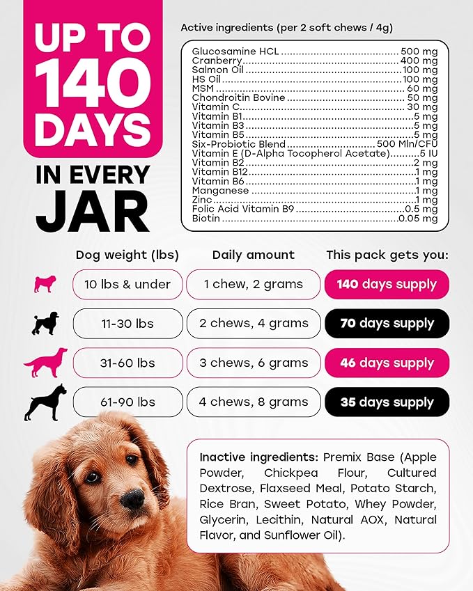 24-in-1 Daily Multivitamin Dog Chews – Beef Flavor – All-in-One PhD-Endorsed Support for Joints, Skin & Coat, Digestion, Immunity, Gut Health, Glucosamine, Omega-3, Probiotics & Antioxidants 140 Chews