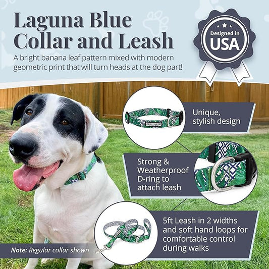 Lucky Love Dog Collar and Leash Set, Beautiful & Vivid Patterns, Easy On & Off Clasp Accessory (Blue Laguna, XS Combo)