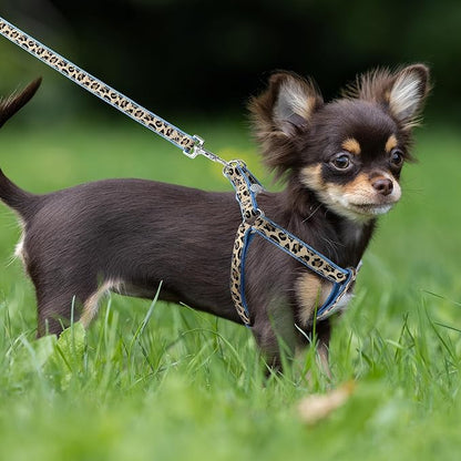 Mile High Life Leopard Dog Harness Collar Leash Set, Adjustable No Pull Dog Halter Harness for Small Breed Dogs, Easy Control for Training Walking (Blue, S Chest 11"-18", Neck 10"-14")
