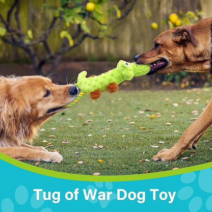 Prime Pets Dog Squeaky Toy, 2 Pack, Tug of War Plush Dog Toys for Small Medium Large Dogs, Stuffed Pet Toys, Interactive Puppy Chew Toy