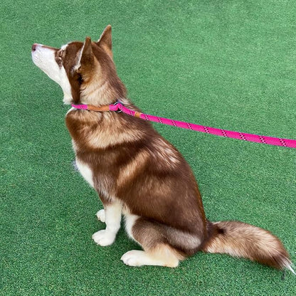 5 FT Slip Lead Dog Leash, Heavy Duty Rope Leash for Small Medium Large Dogs, No Pull Training Lead with Reflective Thread, Strong Comfortable Loop Leash (Pink Stripe, Large(1/2"))