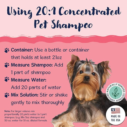 Bobbi Panter Cat Shampoo and Conditioner - Made in USA - All Natural 2-in-1 Formula for Reducing Shedding & Dander - Concentrated 10:1 for Professional Groomers - Watermelon Scent, 13 Oz (Case of 12)