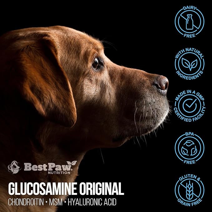 Best Paw Nutrition Liquid Glucosamine Chondroitin for Dogs - Hip Dysplasia & Joint Pain Relief - Canine Health Food Supplement - Natural Pet Vitamins with MSM for Dog Mobility Support - 32oz